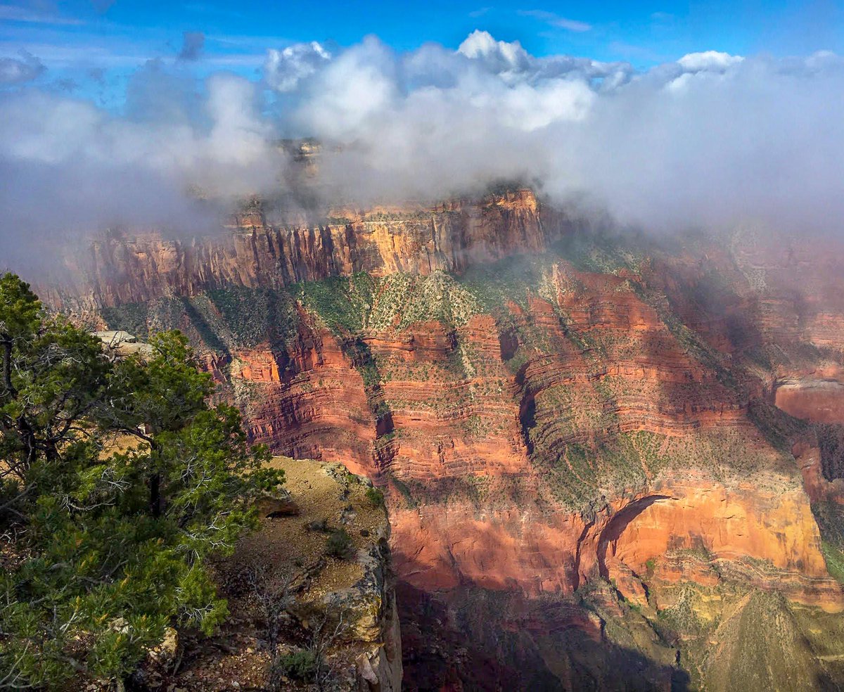 GrandCanyonNPS's tweet photo. “Life is something like innumerable layers, leaving us wrongly assuming that the first or even the second layer is the essence of the thing.” ― Craig D. Lounsbrough

Grand Canyon's exposed geologic strata, layer upon layer, presents a record of geological history. https://t.co/ESoyleldTj