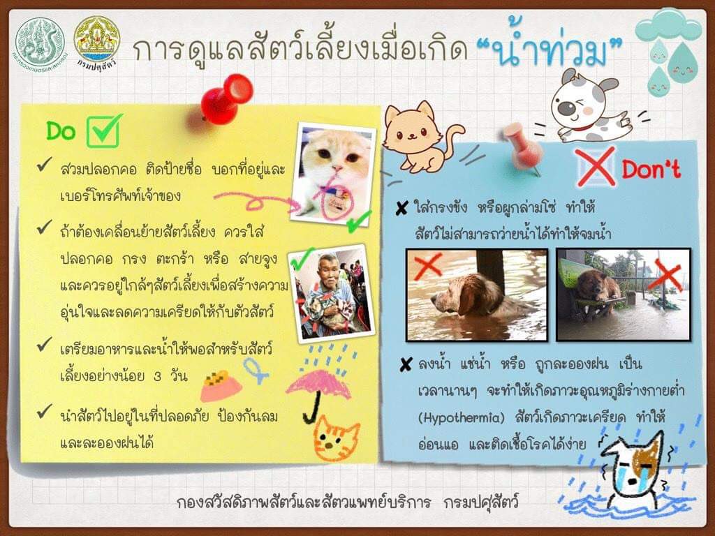 𝐓𝐬𝐮𝐧𝐚𝐲𝐨𝐬𝐡𝐢 tweet media