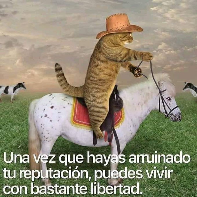 https://t.co/g3rRtThgjp