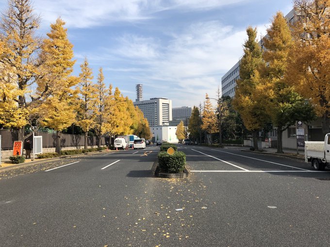 〜忍極散歩〜
茱萸坂
総理官邸の北門から国会議事堂まで続く坂です。正面奥には警視庁も見えます。
総理官邸を舞台にすることを決めてから何度も現地行って68〜69話のシーンを妄想していたので、形にする事が出来て嬉しいのです。 
