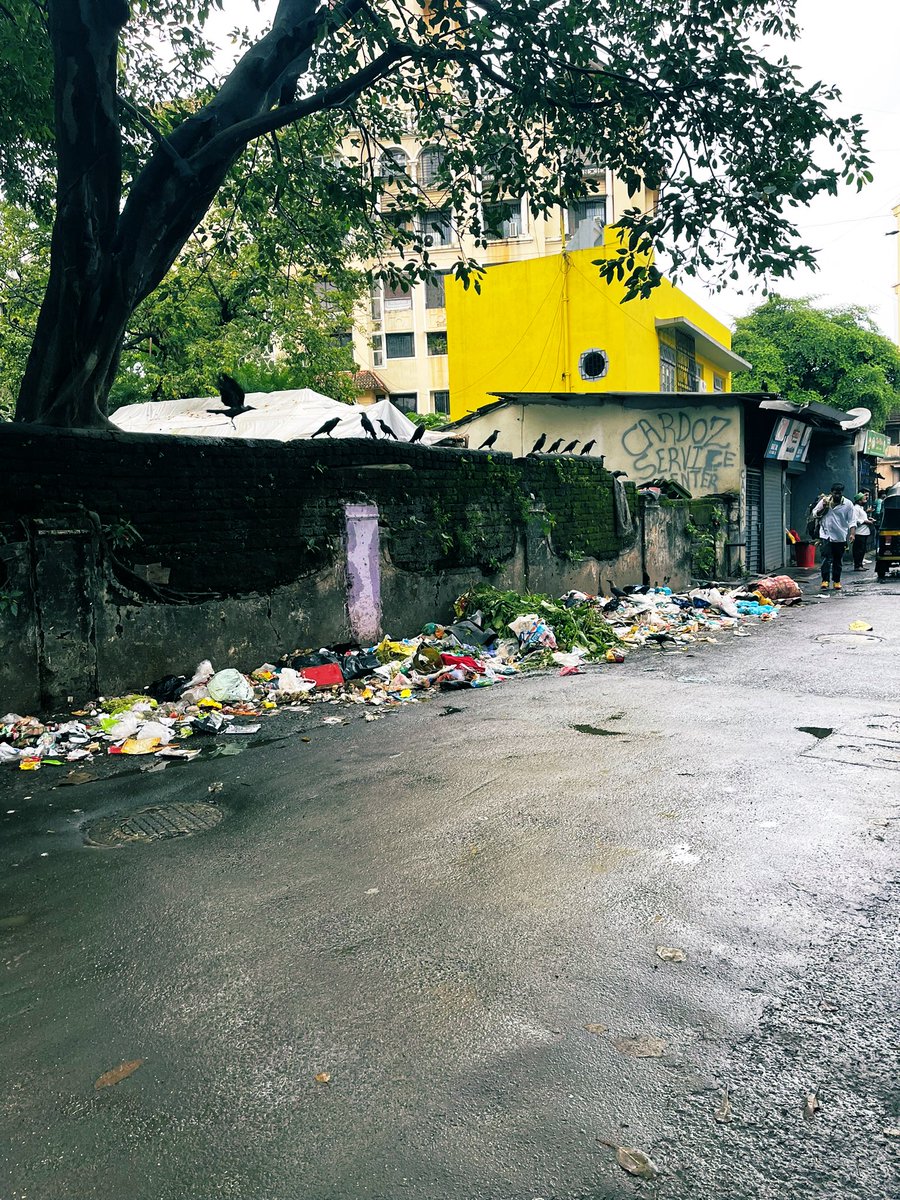 smritikiran's tweet photo. Hey @mybmc possible to do something about this crazy garbage heap on #WarodaRoad in Bandra every morning? The photos donโt do any justice to how vile, stinky and unhygienic this is. https://t.co/Pg3vCDVzZR