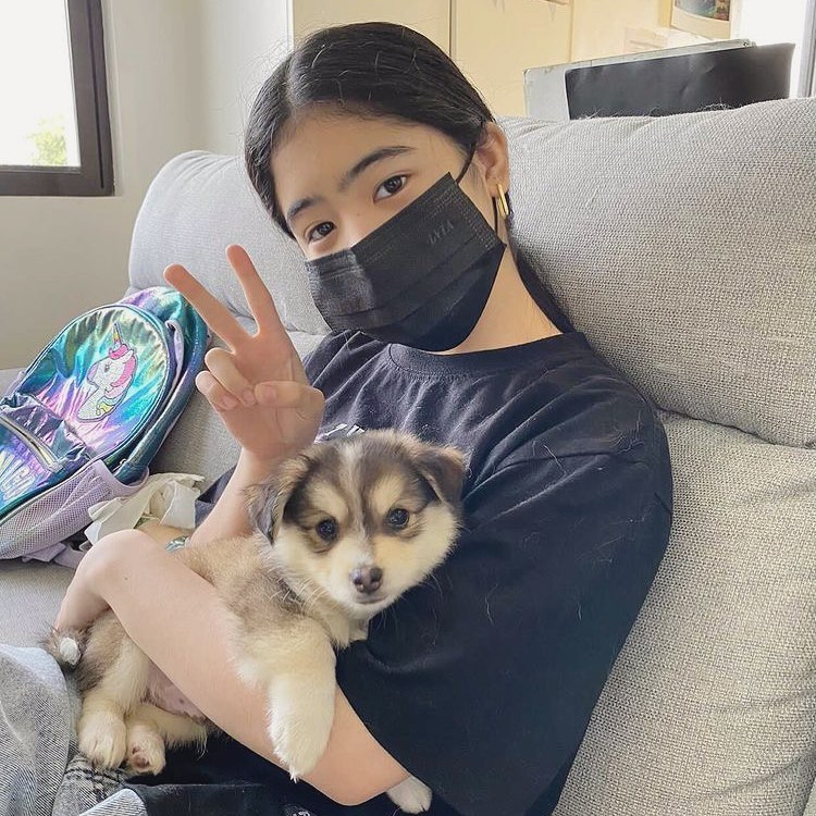 teamgvoph's tweet photo. Cutie 💚

© the_roldan_dogs IG Post https://t.co/RmYCHhajyF