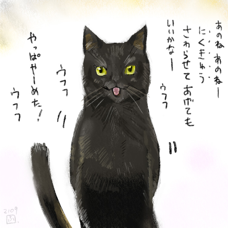 9月の猫まとめ その1 