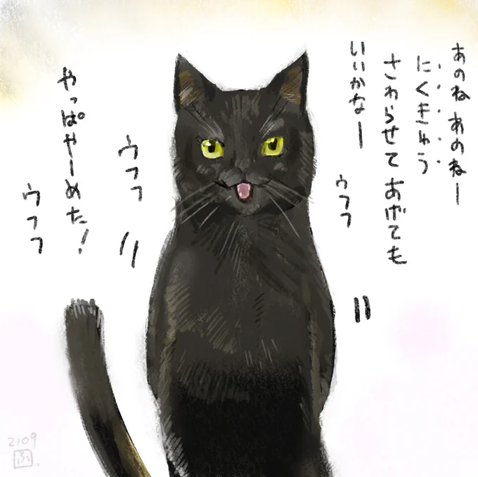 9月の猫まとめ その1 