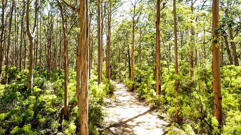 Junk credits: One-fifth of Australian carbon offsets could be “hot air”, report finds reneweconomy.com.au/junk-credits-o… @AusConservation @TheAusInstitute