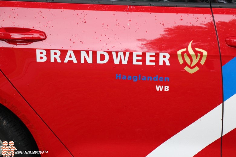 Jongen te water na mishandeling Sportlaan
