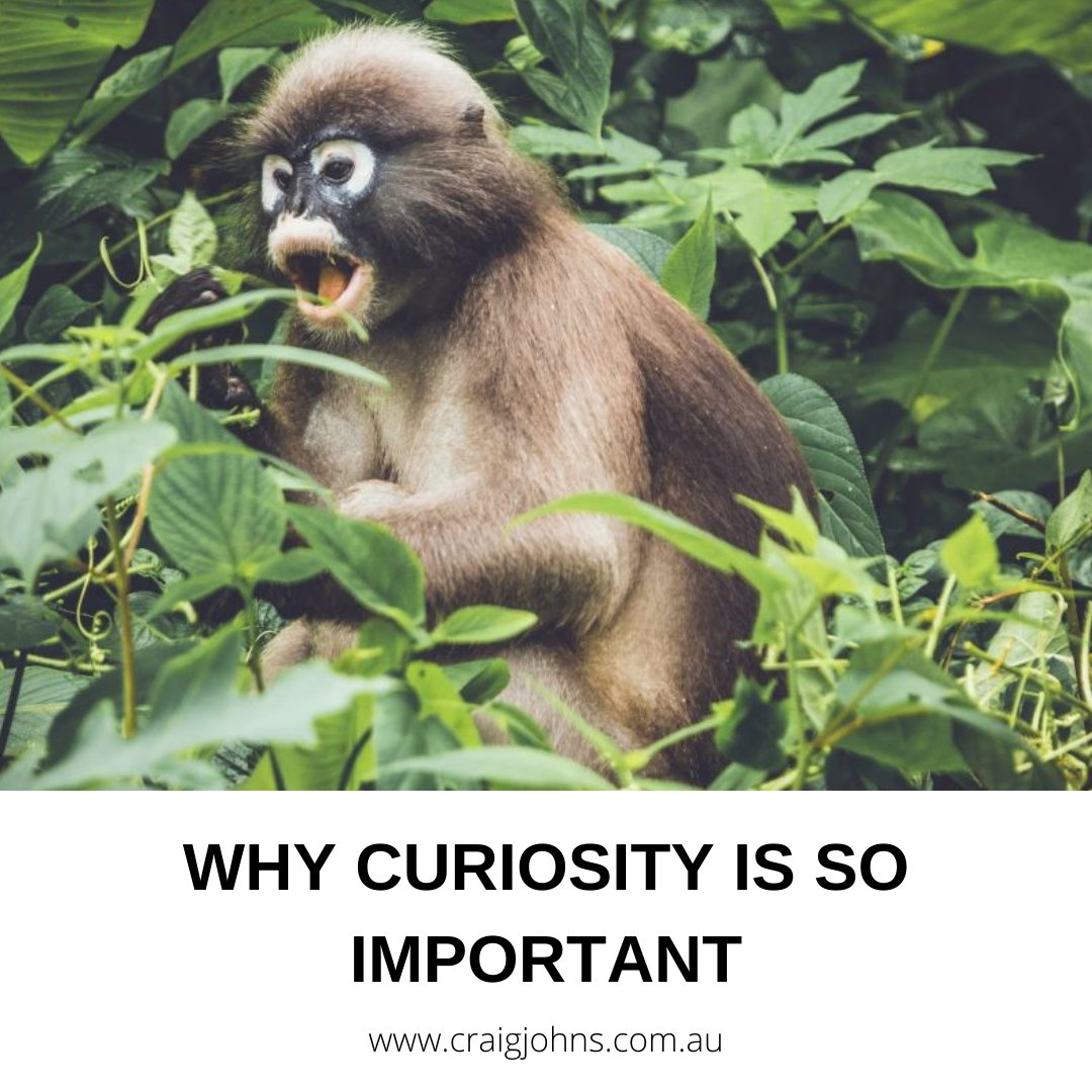 “Around here, we don’t look backwards for very long. We keep moving forward opening up new doors and doing new things, because we are curious and curiosity leads us down new paths." WALT DISNEY How will you spark new ideas today? bit.ly/3CNs68l
#communication #leadership