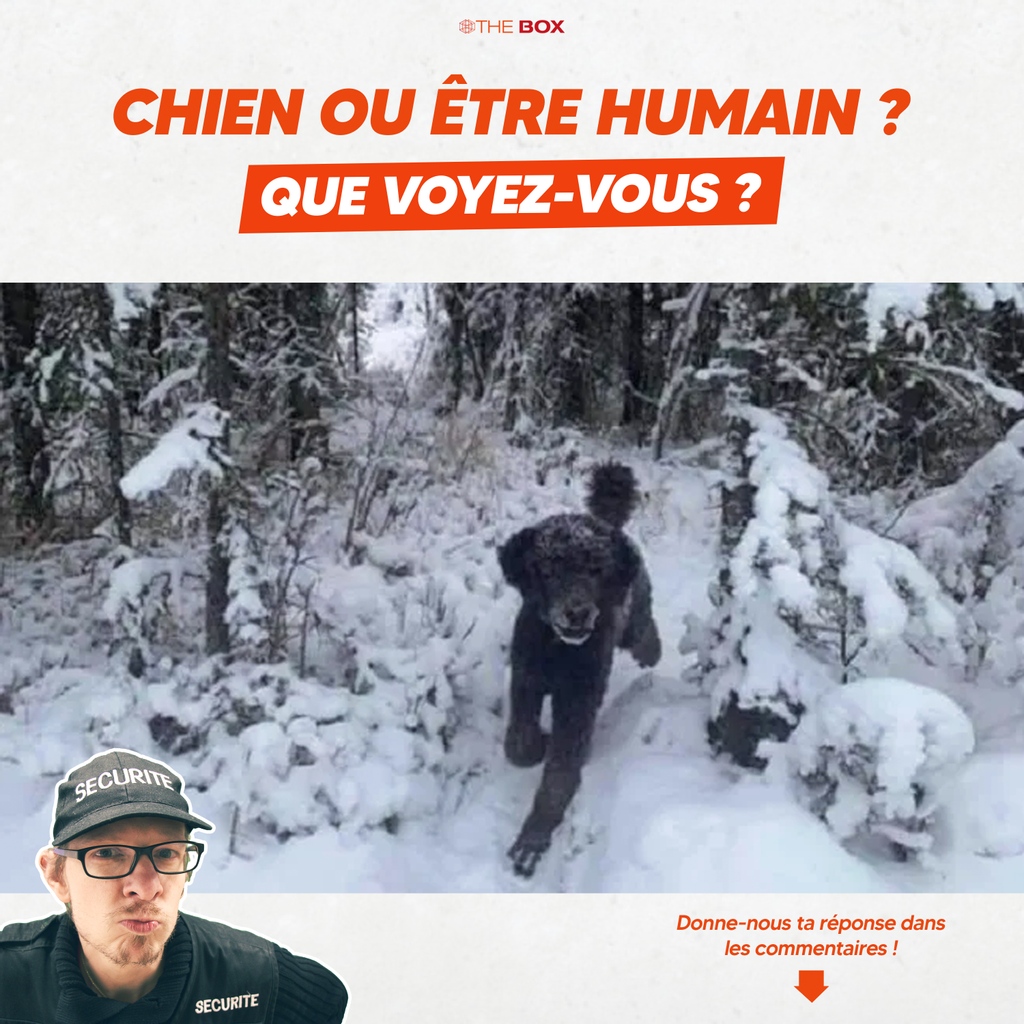 Un petit jeu pour vous aider à bien ouvrir les yeux en ce début de semaine ! 🤪 #lundi