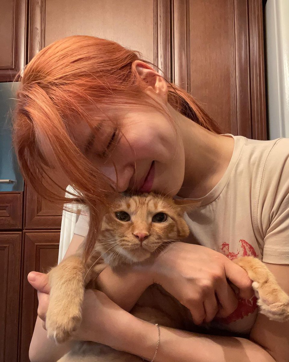 ㅤ 
사랑해 룽지 (코지도)

ㅤ