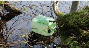 #Drugsafval dump Baarnse bossen op zeker vijftien plekken. @BCBaarn @SBWHnl.