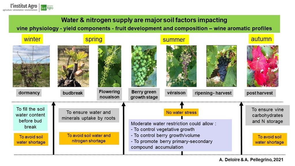 Water is very important in viticulture!

In Chinese:

reurl.cc/52G75G