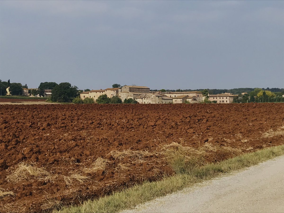 fedechiccalippi's tweet photo. Lunedì mattina! #trekking #viafrancigena #siena https://t.co/6C76QUrzjY