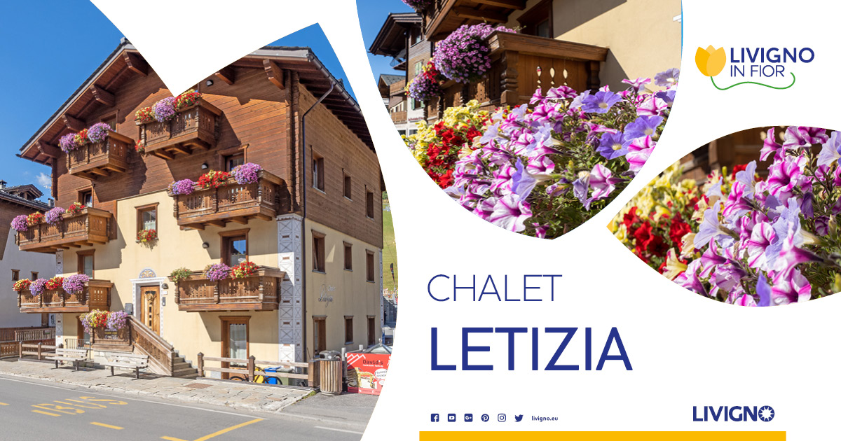 #Livigno in Fior 2021: Throughout Summer you have been able to admire them, explosions of color and beauty that embellished the streets and houses of Livigno. Now is the time to vote! Watch the full album bit.ly/3m83Wz0 Like the flowers you love the most🌼