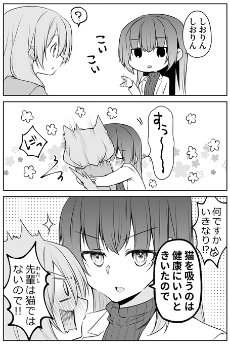 猫吸いは健康にきく。
#うちの会社の小さい先輩の話 