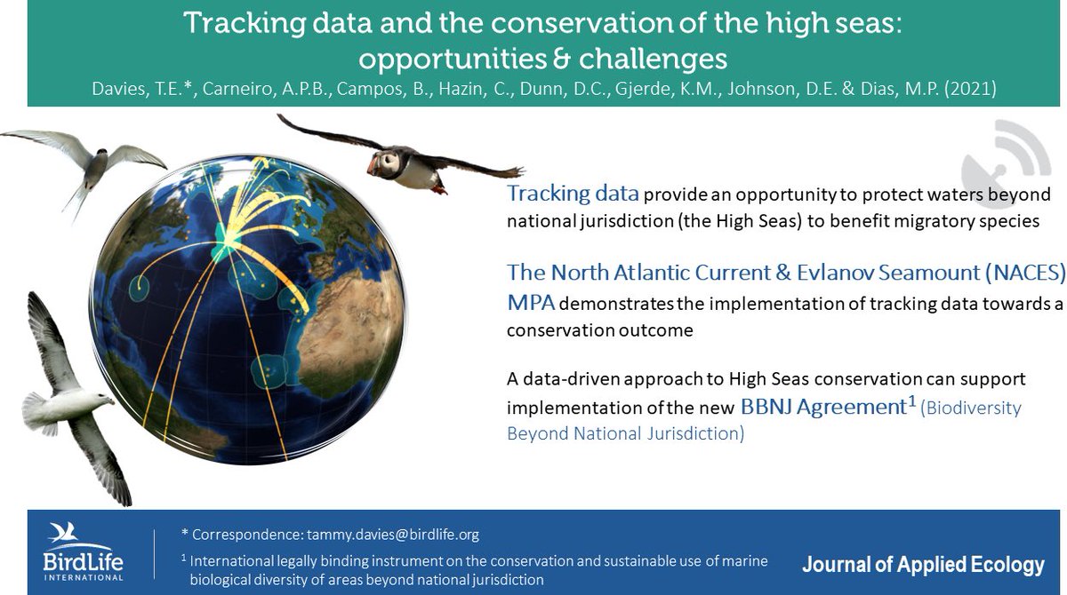 BirdLife Marine (@birdlifemarine) on Twitter photo #NewPaper: translating data to action - what can the 1st #HighSeas #MPA identified from seabird tracking data teach us about translating tracking data towards a conservation outcome?
Full paper 👉🏼 <a href="/JAppliedEcology/">Journal of Applied Ecology</a>
besjournals.onlinelibrary.wiley.com/doi/full/10.11… #NewPaper: translating data to action - what can the 1st #HighSeas #MPA identified from seabird tracking data teach us about translating tracking data towards a conservation outcome?
Full paper 👉🏼 <a href="/JAppliedEcology/">Journal of Applied Ecology</a>
besjournals.onlinelibrary.wiley.com/doi/full/10.11…