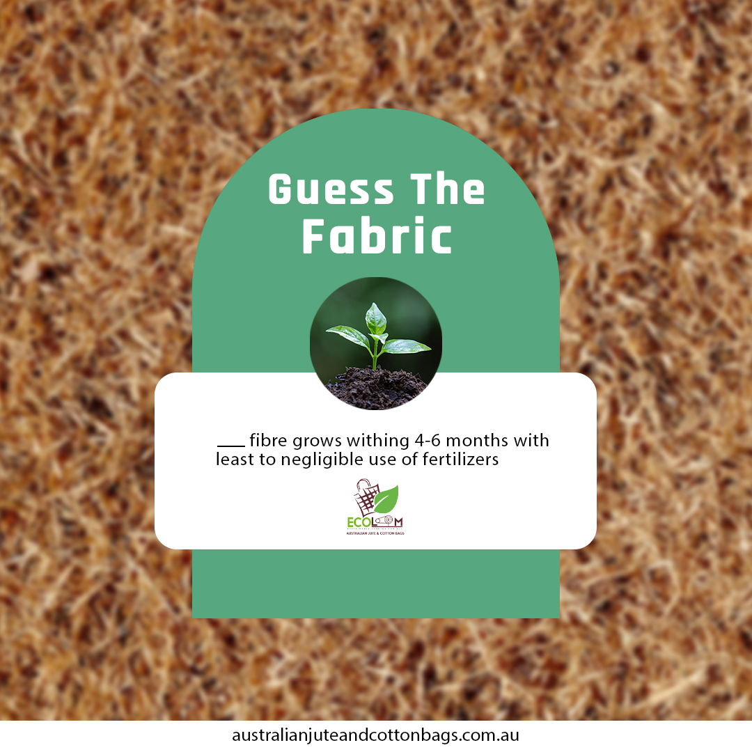 Share your answer in the comment section below.

#plasticfree #stopplasticpollution #plasticorjute #sustainableliving #ecofirendlylifestyle #ecobags #ecofriendlyhacks #zerowaste #durablebags #jutecultivation #greenliving #savetheearth #ecowarrirors #ecohacks