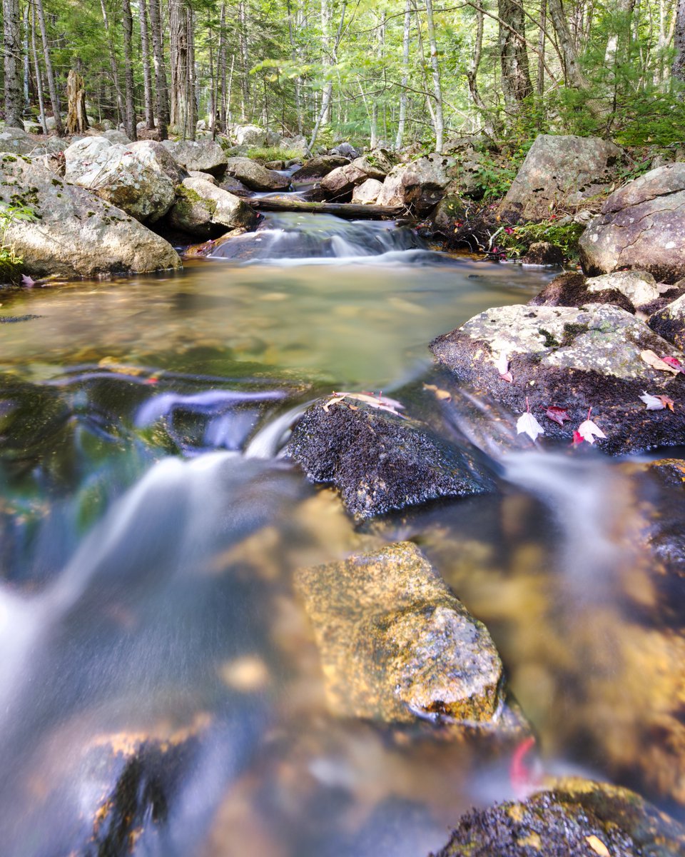 JohnReedPavan's tweet photo. A long exposure shot of Jordan Stream in Acadia National Park.

#longexposure #hdr #jordanstream #acadia #nps #nationalpark #landscape #shotoncanon #affinityphoto #luminarai #nature #sigmaphoto https://t.co/fbEsnlDBKv