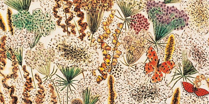 Cite_Soreze's tweet photo. #lundifleuri avec ce joli détail de "Ombelles, oseille et papillons", une aquarelle de #DomRobert !
#musee #citedesoreze #tarn #occitanie #tourisme
Visitez notre site et son eboutique sur : https://t.co/YybCFTPotd https://t.co/wEZUYTJnfn