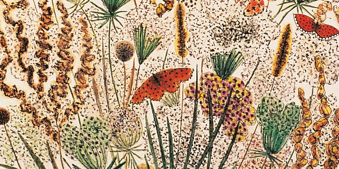 Cite_Soreze's tweet photo. #lundifleuri avec ce joli détail de "Ombelles, oseille et papillons", une aquarelle de #DomRobert !
#musee #citedesoreze #ArtistOnTwitter #tarn #occitanie #tourisme
Visitez notre site et son eboutique sur : https://t.co/YybCFTPotd https://t.co/sUUUWKlg4t