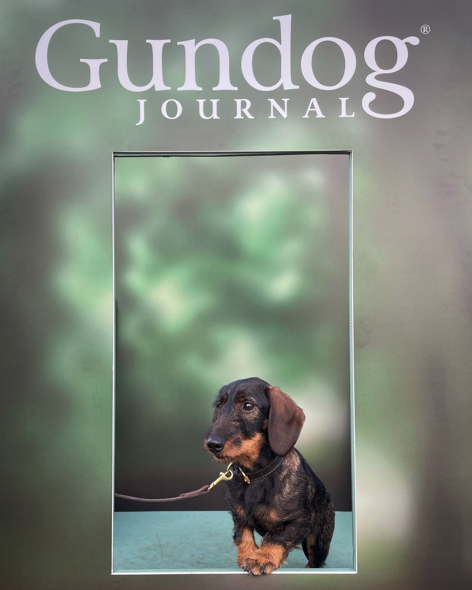 It ain’t easy being the star of the show, but someone has to do it 💁🏼‍♀️

Three long but fantastic days at the <a href="/ScotGameFair/">GWCTScottishGameFair</a>, made all the more special seeing all our friends(new and old). Great to be back and we look forward to seeing you all next year!