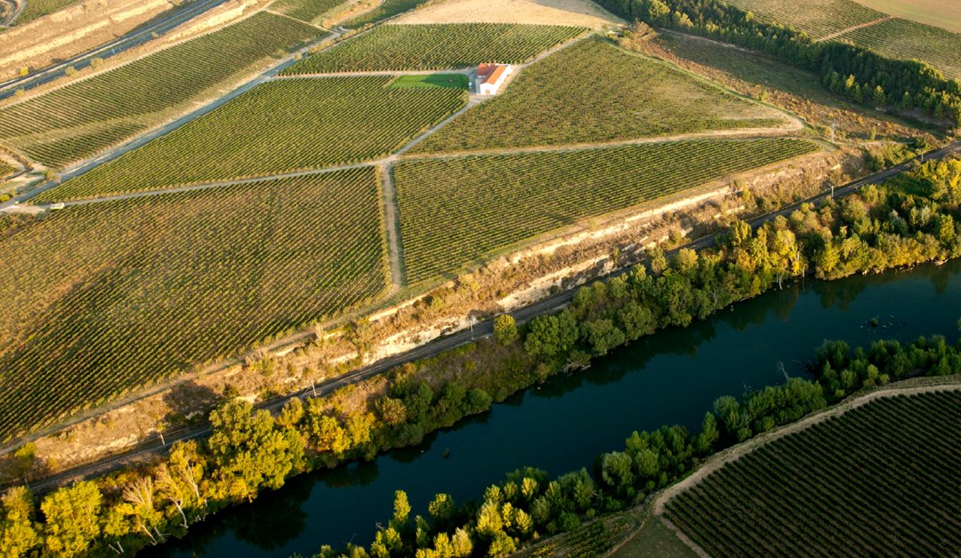 bodegasmuga's tweet photo. Nuestro lugar de trabajo y un entorno maravilloso para vivir. Nos sentimos unos afortunados 😍🤗

#Viñedos #BodegasMuga #Haro #LaRioja https://t.co/JxFlDcqsOi