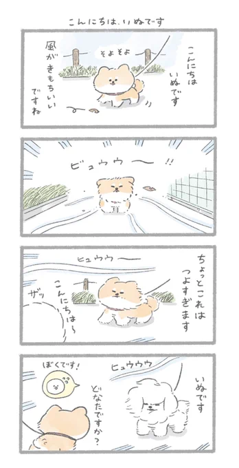 風に吹かれるビションさん
#こんにちはいぬです 