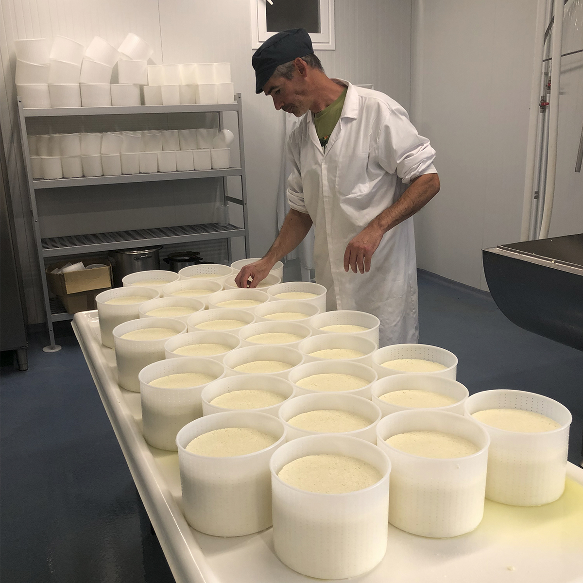 Los últimos días han sido muy intensos elaborando nuestro queso #Torozo... 
Nuestro queso de leche cruda de oveja con una maduración entre 4 y 6 meses.
Ahora toca esperar... 🧀📆

#QueseriaArtesanalLasCortas #quesosartesanos #lechecruda #quesotorozo