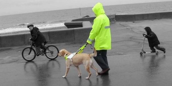 gavinneate's tweet photo. @guidedogs @neatebox I miss you guys but have so many fond memories of my time as a #GDMI. Keep up the great life changing work. #inclusion #AccessAllAreas #Access4All #AllWelcoMeNow. https://t.co/kkOdX3WbC5