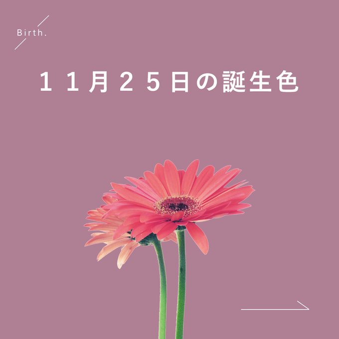 טוויטר Birth 366日366色の誕生色 בטוויטר 11 25の 誕生色 は 𝙼𝚊𝚞𝚟𝚎 𝙾𝚛𝚌𝚑𝚒𝚍 上品で凛としたあなたに 蘭をモチーフとした赤紫色 T Co 0cpjqfbzvu T Co Mnivhwc4xk