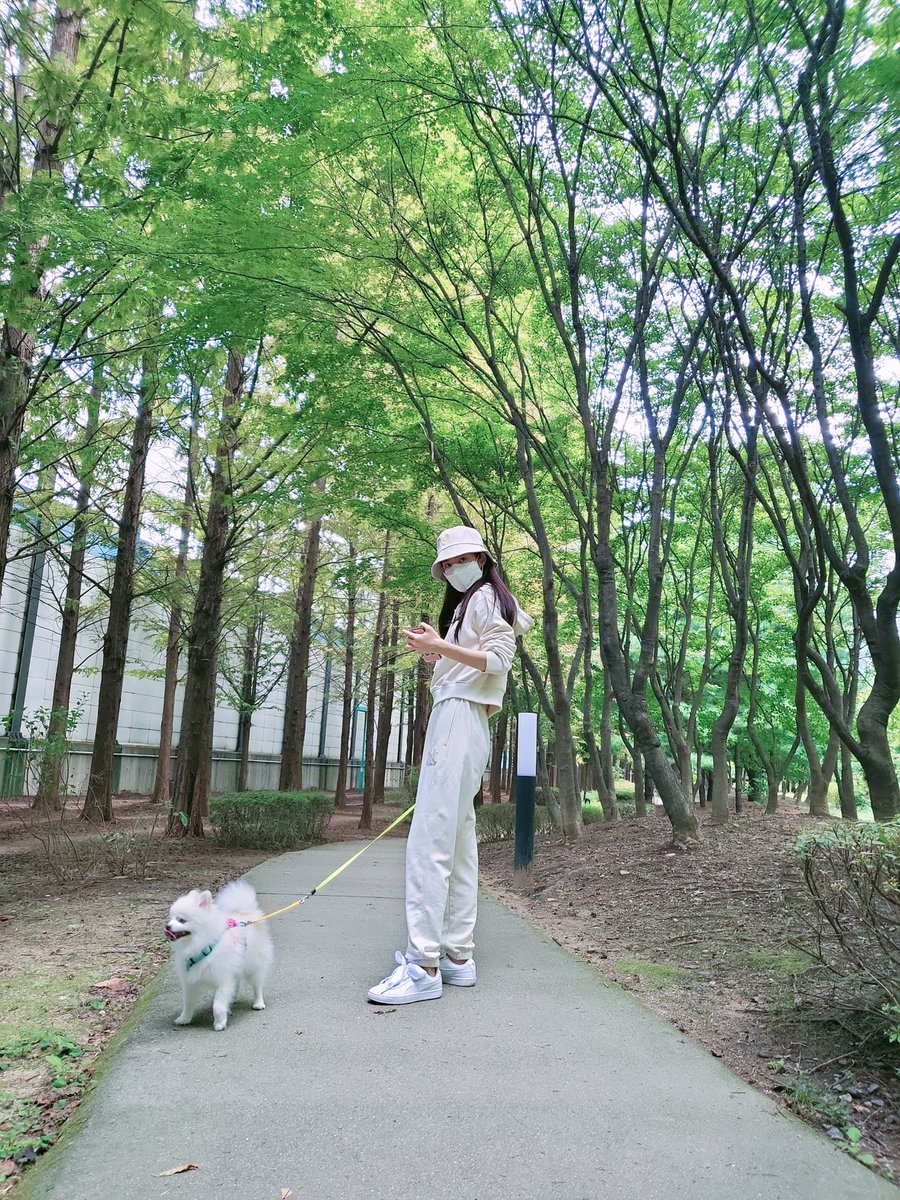 Jinseyeon's tweet image. 🐶🌱🌱