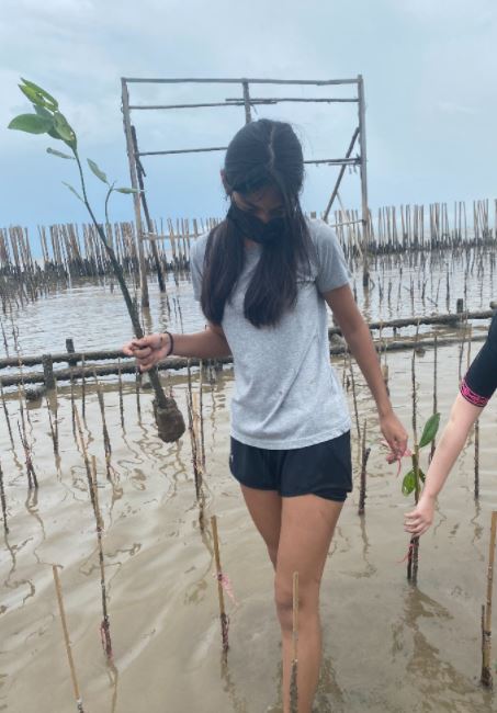 BrightonBangkok's tweet photo. On Sunday, some of our Sixth Form pupils - 'The Mangrove Teens' - planted more than 2,500 trees to protect our coastline,
The group would like to thank the Brighton community for the generous donations and participation in their recent fundraiser, which raised over 3,000 THB. https://t.co/V2eNeUsQ8A