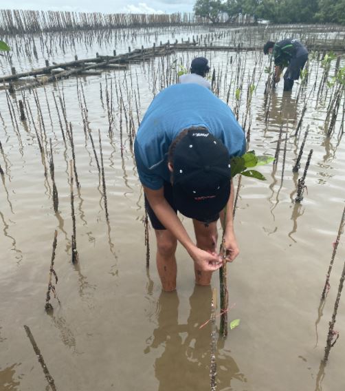 BrightonBangkok's tweet photo. On Sunday, some of our Sixth Form pupils - 'The Mangrove Teens' - planted more than 2,500 trees to protect our coastline,
The group would like to thank the Brighton community for the generous donations and participation in their recent fundraiser, which raised over 3,000 THB. https://t.co/V2eNeUsQ8A