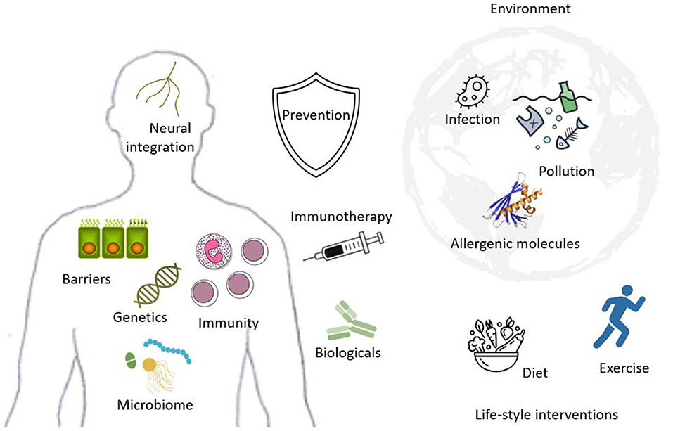 emergencyres's tweet photo. Allergies are on the rise, but so are Internal Medicines.
Submission at internalmedicine@maplejournal.com
#Orthopedics #bonedisorders #arthritis #diagnosis #clinicaltrials #casestudies #osteoporosis #allergy #immunotherapy #environmental https://t.co/RD0M9kXq4b