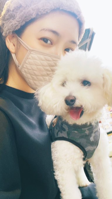 ハイ、ポーズ📷✨ マロいい笑顔ね🐩💕 https://t.co/Hd3O98KvCa<a href="/tag/%E3%83%9E%E3%82%B8%E3%82%A7%E5%80%92%E7%94%A3"class="tags"><span>#マジェ倒産</span></a>