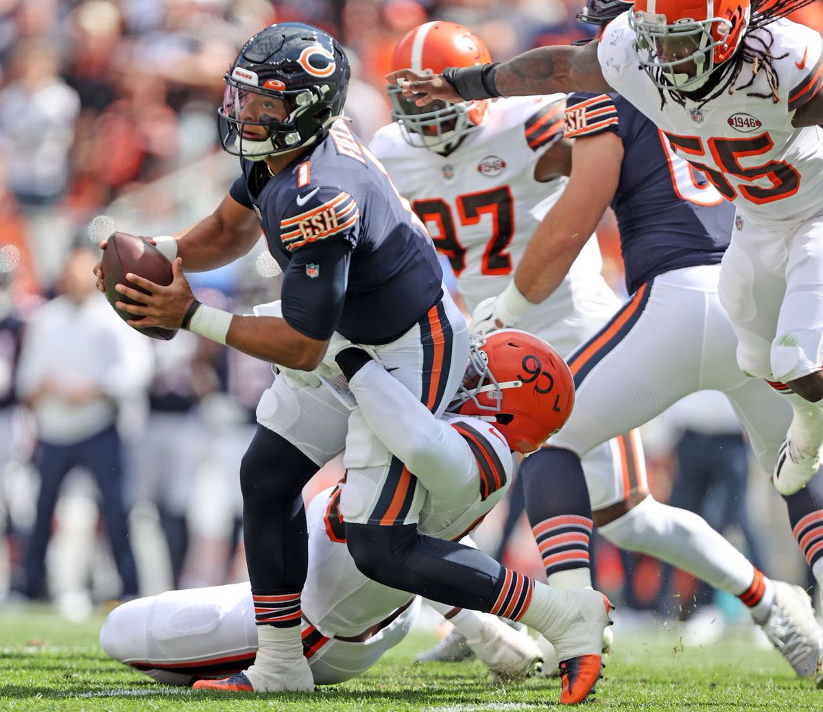 SirCleve's tweet photo. @VivalaZito Bear, down! https://t.co/ourIill571