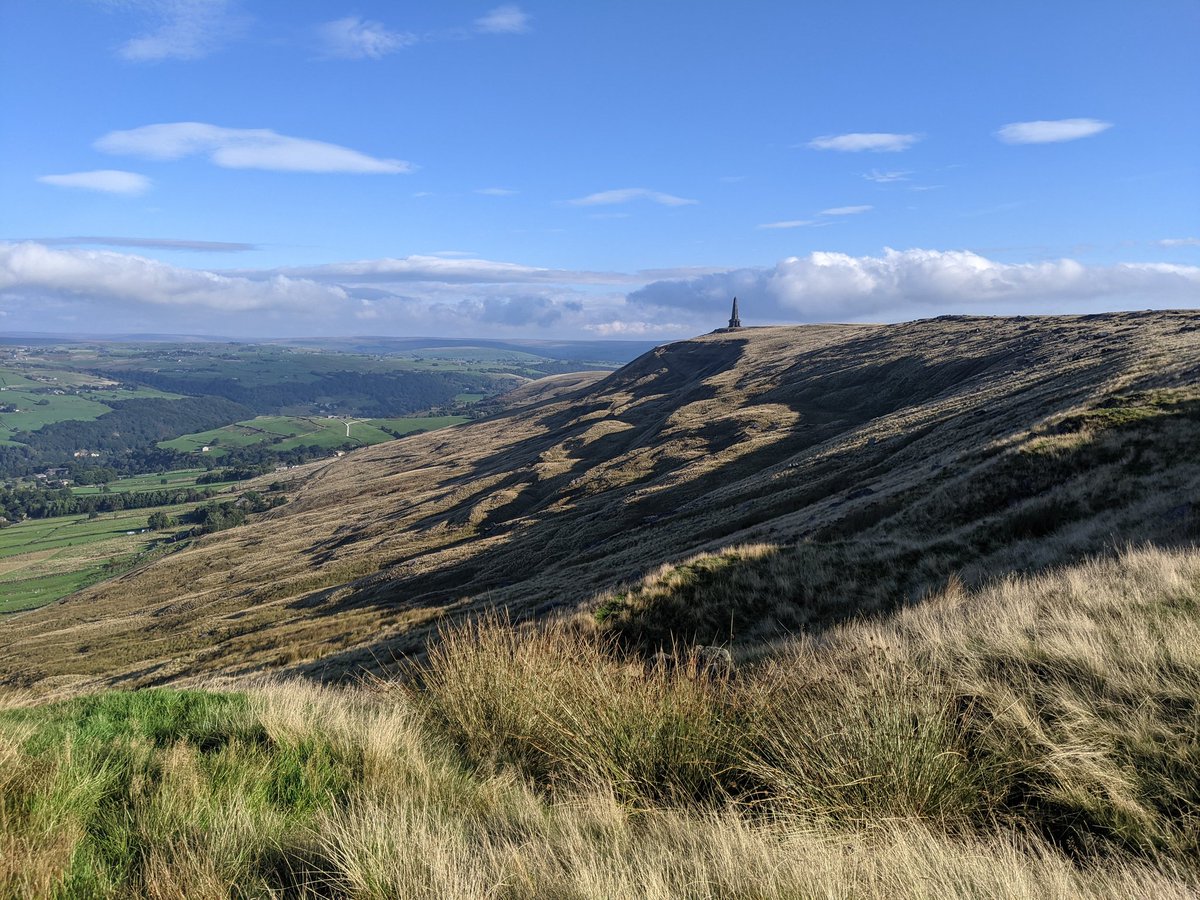 Search Dog Willow tweet media