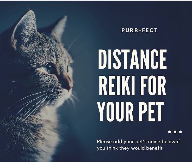 Animal_Comms's tweet photo. If you feel your pet would benefit from this week’s remote reiki please add their name below , if you have any questions please feel free to send a DM #mondaythoughts #reiki #animalhealing #distancereiki https://t.co/xFZG1BPuBS