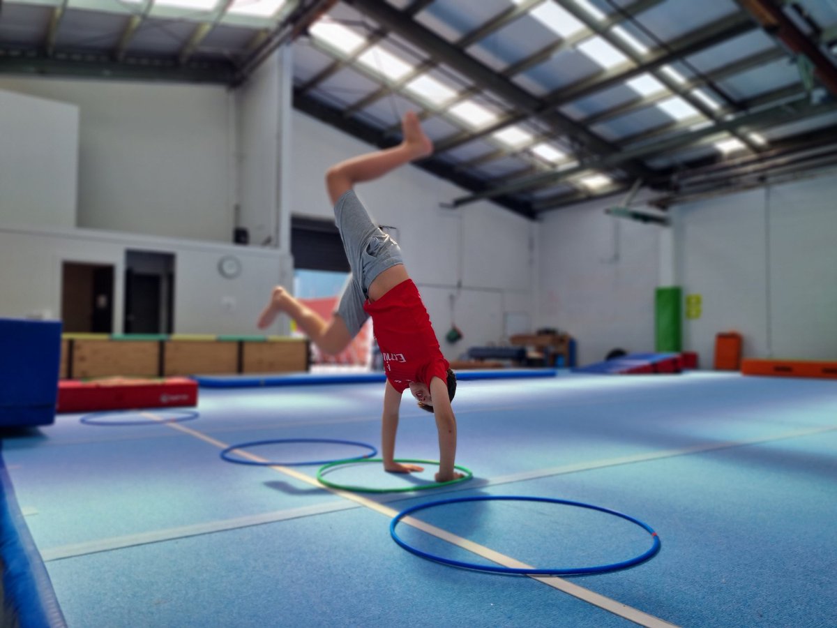 pouakotom's tweet photo. Awesome day with the kids at Manawatu Gymsports! Even the most hesitant found an enjoyable way to move! #gymsports #wspn #enjoymovement https://t.co/FpDWnp5tIx
