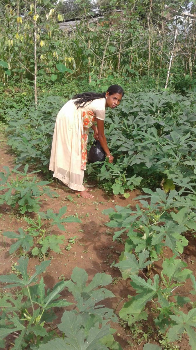 12_baje's tweet photo. Malnutrition is 1of the severest challenges of our https://t.co/AlnL7ZF52H has become worst in COVID times as malnourished people r more prone 2 diseases&amp;they become extremely vulnerable.Malnutrition is the menace that needs2 b eradicated 4m the face of earth! Keep it up H.K Team https://t.co/VNcDMsafq1