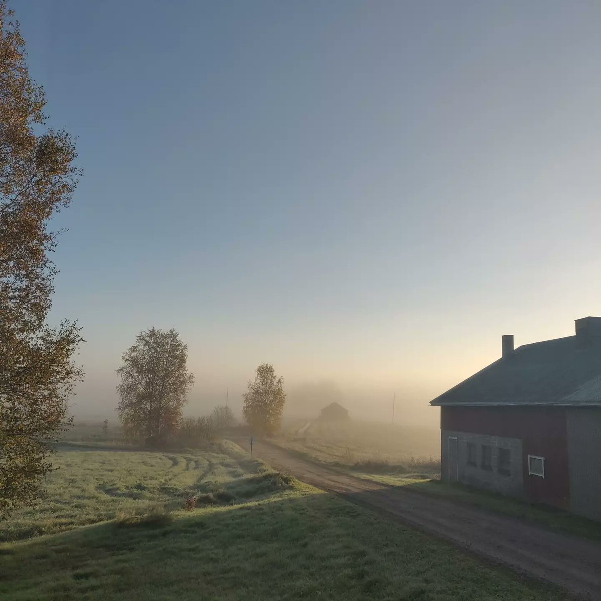 LuetteDie's tweet photo. Hyvää huomenta .. it is chill but beautiful outside. Let's get the new week started with some breakfast, shall we ? ☕🥣
#monday #newday #morninginspiration #goodmorning #gettingcold #letshavebreakfast #naturephotography #finland https://t.co/bCOaScZCWD