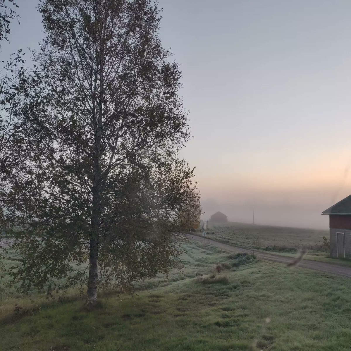 LuetteDie's tweet photo. Hyvää huomenta .. it is chill but beautiful outside. Let's get the new week started with some breakfast, shall we ? ☕🥣
#monday #newday #morninginspiration #goodmorning #gettingcold #letshavebreakfast #naturephotography #finland https://t.co/bCOaScZCWD