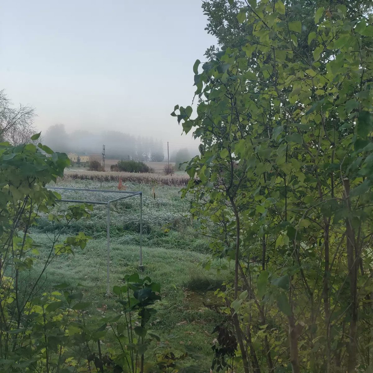 LuetteDie's tweet photo. Hyvää huomenta .. it is chill but beautiful outside. Let's get the new week started with some breakfast, shall we ? ☕🥣
#monday #newday #morninginspiration #goodmorning #gettingcold #letshavebreakfast #naturephotography #finland https://t.co/bCOaScZCWD