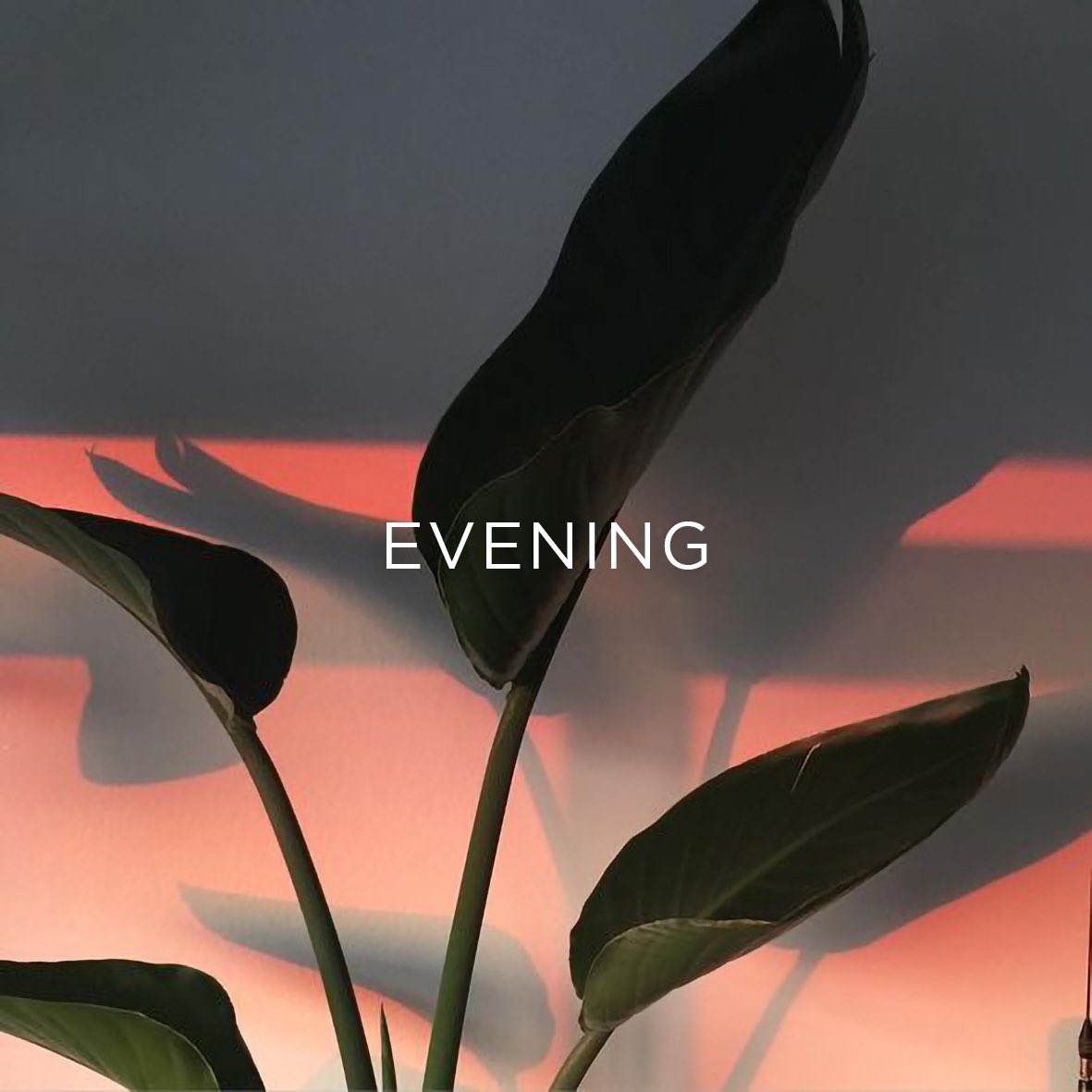 Marian 🌻 tweet media