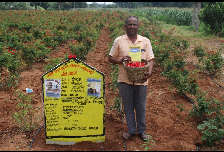 *ರೈತನ ಮುಖದಲ್ಲಿ ಮಂದಹಾಸ ಮೂಡಿಸಿದ ಗುಲಾಬಿ*
*ಲೇಬಗೇರಿ ರೈತನ ಕೈಹಿಡಿದ ತೋಟಗಾರಿಕೆ ಬೆಳೆ
#ಕೊಪ್ಪಳ ಜಿ/ತಾ ಲೆಬಗೇರಿ ಗ್ರಾಮದ ರೈತ ಬಸವರಾಜ್