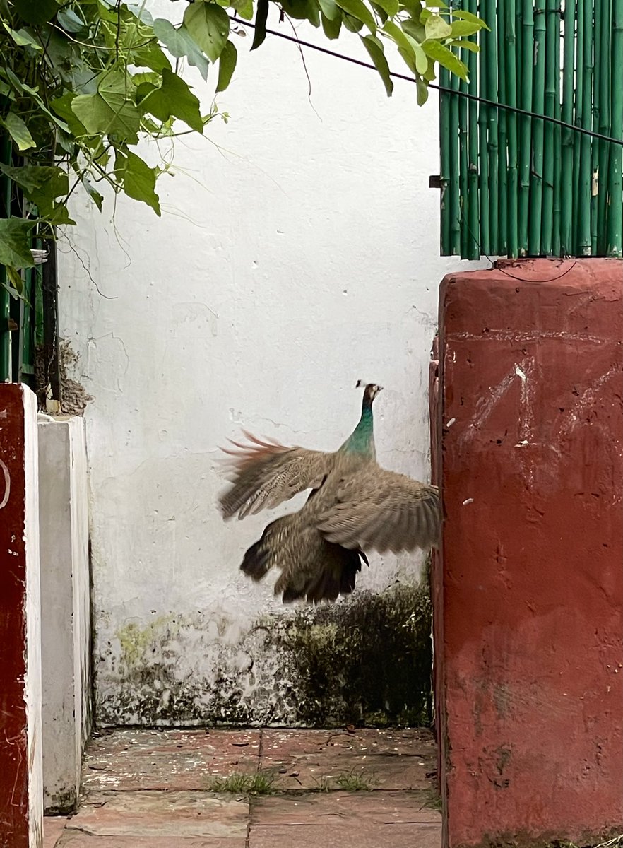 Rajini Vaidyanathan tweet media