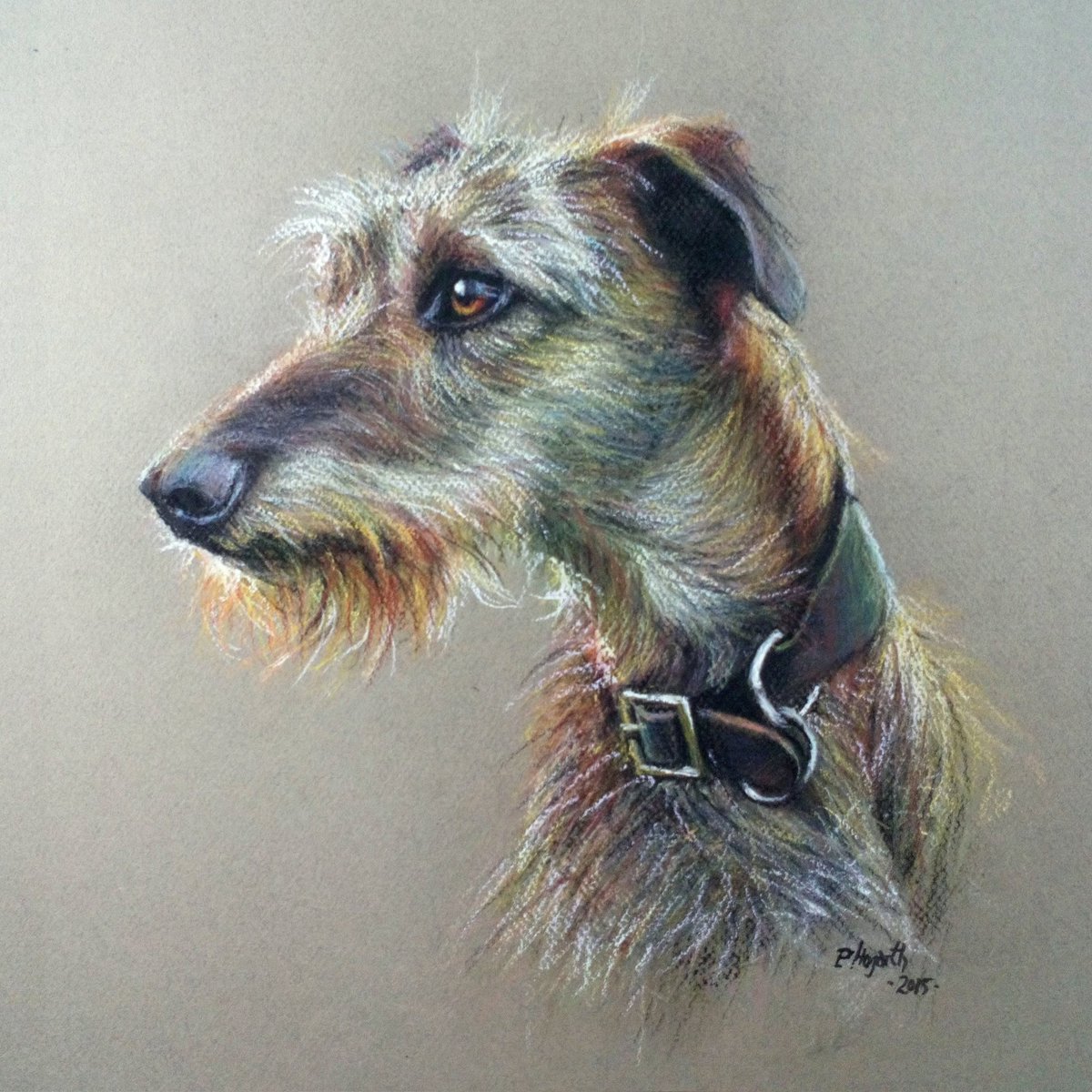 peterhogarth55's tweet photo. Portrait of a handsome Lurcher.  This painting was a regular feature in my pre-covid exhibitions,  and I hope you enjoy seeing it here. 😊 https://t.co/XTxkVrp8oG