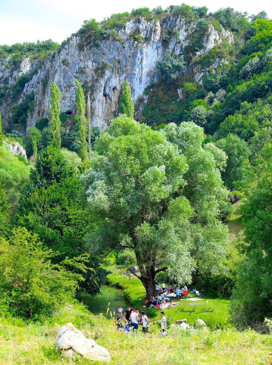 BilecikKultur's tweet photo. Günaydın BİLECİK  CENNET'ten BİR KÖŞE

ABADİYE KÖYÜ / BİLECİK #bilecik #fotografbilecik #fotografia #doğa #tiktok #trending #travelphotography #turkey #turizm #abadiye #gol #manzara #instalike #trustedolshop #günaydın https://t.co/aRU0LTUnQi
