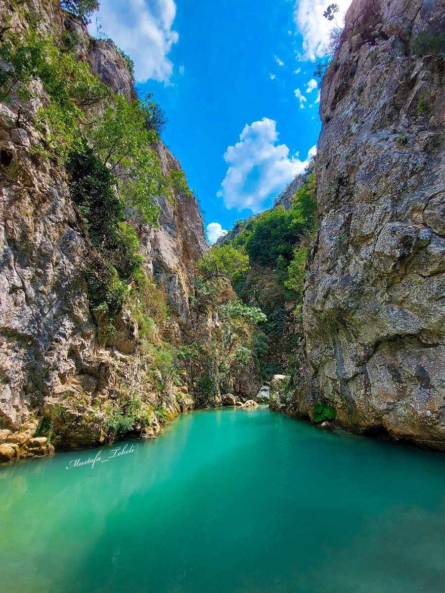 BilecikKultur's tweet photo. Günaydın BİLECİK  CENNET'ten BİR KÖŞE

ABADİYE KÖYÜ / BİLECİK #bilecik #fotografbilecik #fotografia #doğa #tiktok #trending #travelphotography #turkey #turizm #abadiye #gol #manzara #instalike #trustedolshop #günaydın https://t.co/aRU0LTUnQi