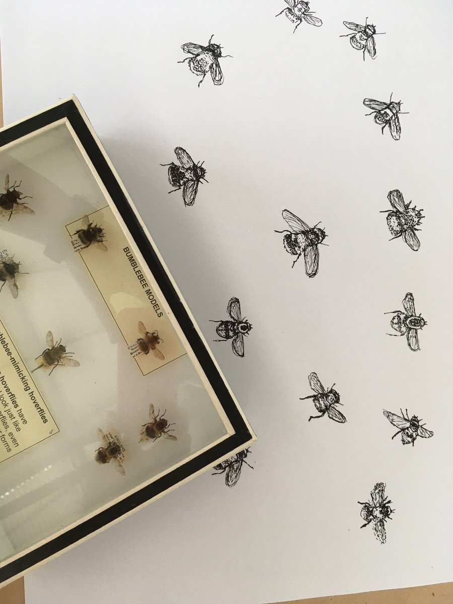 KarenBrackenri3's tweet photo. @RealMancsy @mancy Still Buzzin! and 🐝ing One of Manchester favourite artists @BeeSquadGM #HomelessChildren exploring #OurForest @BeeSquadGM  Bee Box by @McrMuseum pics #HiddenHomeless #WeStillSeeYou #OnlyManchesterHasTheBuzz 🐝😍 https://t.co/J5jDDgyj8w