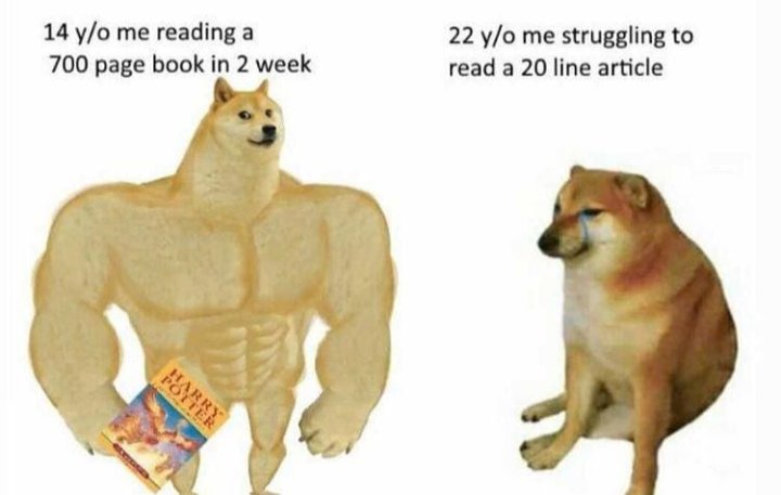 crunchy philosophy memes tweet media